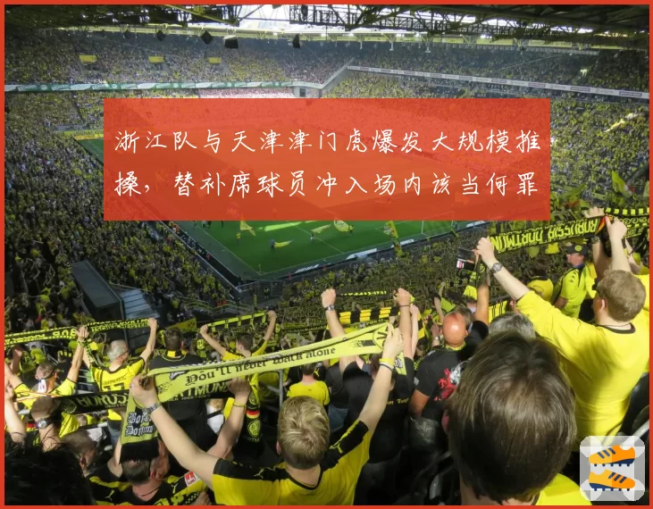 浙江队与天津津门虎爆发大规模推搡，替补席球员冲入场内该当何罪？