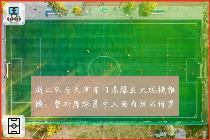 浙江队与天津津门虎爆发大规模推搡，替补席球员冲入场内该当何罪？