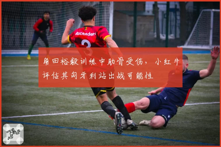 角田裕毅训练中肋骨受伤，小红牛评估其匈牙利站出战可能性