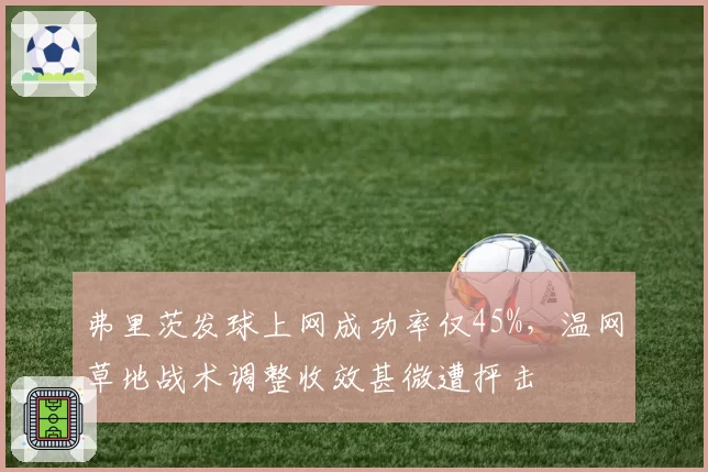 弗里茨发球上网成功率仅45%，温网草地战术调整收效甚微遭抨击