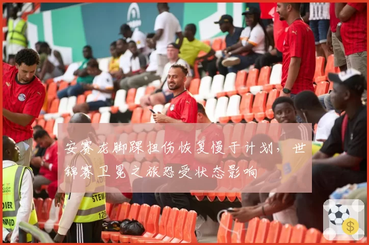 安赛龙脚踝扭伤恢复慢于计划，世锦赛卫冕之旅恐受状态影响